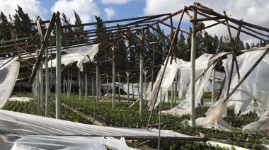 Según una productora rural de La Plata, con la última tormenta se perdió "más del 90 % de la producción"