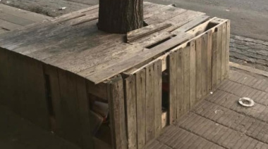 El Concejo Deliberante de La Plata aprobó una resolución para pedirle al Ejecutivo que retire los "ataúdes de árboles"