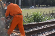 El Tren Roca no llegará a La Plata este fin de semana largo