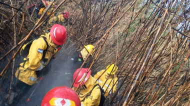 Un incendio forestal en la Isla Santiago volvió a generar alerta por el avance de supuestos negocios inmobiliarios