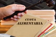 Poseer el libre deuda alimentaria podría ser obligatorio para ser designado en la Municipalidad de La Plata