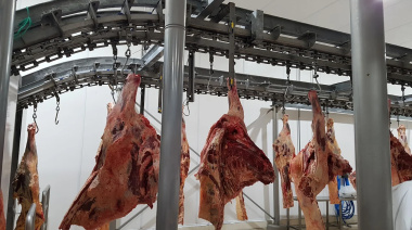 Falleció un trabajador de Frigorífico Gorina mientras realizaba tareas en el área de desposte