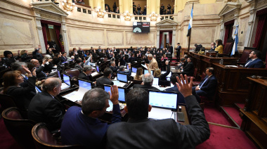 Docentes universitarios de La Plata destacaron la aprobación de la Ley de Financiamiento Universitario