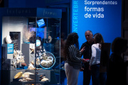 Inauguraron una nueva sala en el Museo de Ciencias Naturales de La Plata
