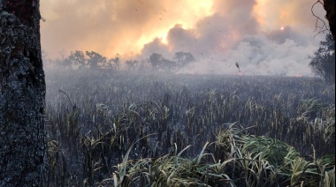 El incendio en la Reserva Natural de Punta Lara está "controlado pero no apagado", informó la Municipalidad de Ensenada