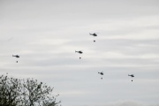 Cinco helicópteros fueron grabados en La Plata mientras volaban a baja altura y generaron revuelo entre los vecinos