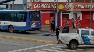 Un micro de la Línea Norte atropelló a un peatón en La Plata