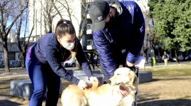 En el Día Mundial de la Lucha contra la Rabia, remarcaron que sólo se puede prevenir vacunando a los perros y gatos