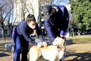 En el Día Mundial de la Lucha contra la Rabia, remarcaron que sólo se puede prevenir vacunando a los perros y gatos