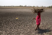 En la antesala de la COP26 te mostramos ocho imágenes impactantes del efecto causado por el cambio climático