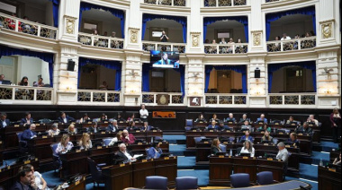 Diputados aprobó la ley que regula el trabajo de los acompañantes terapéuticos en la Provincia