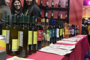 Este fin de semana comienza la 22° edición de la Fiesta Provincial del Vino de la Costa