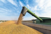 Detectaron maniobras de comercialización fraudulenta con más de 4770 toneladas de granos