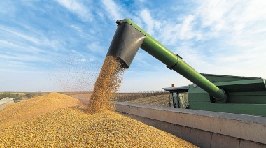 Detectaron maniobras de comercialización fraudulenta con más de 4770 toneladas de granos