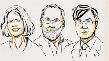 Una investigadora del CONICET explica los descubrimientos de los ganadores del Nobel de Medicina