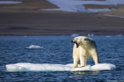 "No hay más tiempo", dice "la más extensa literatura y la mayor evidencia científica" sobre cambio climático