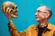 El Premio Nobel de Medicina 2022 fue para un biólogo sueco que logró secuenciar el genoma del neandertal