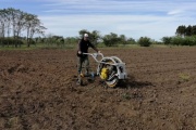 Ya está rodando el microtractor "Chango", un diseño argentino para las familias agropecuarias