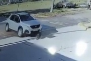 Video: una mujer atropelló a un perro con su camioneta y no bajó para auxiliarlo