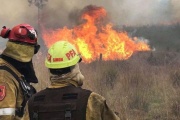 Durante el mes de enero se quemaron 27.882 hectáreas en la provincia de Corrientes