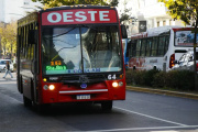 La Municipalidad de La Plata estableció la gratuidad del transporte público durante el domingo de elecciones