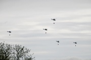 Cinco helicópteros fueron grabados en La Plata mientras volaban a baja altura y generaron revuelo entre los vecinos