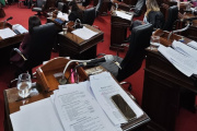 El Pro La Plata mostró sus divisiones en plena sesión del Concejo Deliberante