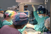 Dos hospitales de La Plata son parte de un inédito programa de cirugías programadas en niñas y niños recién nacidos