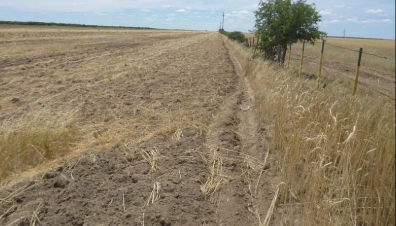 El senador Hirtz pidió que el gobierno declare la "emergencia agropecuaria" por la extrema sequía que atraviesa la provincia