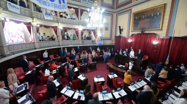 La Cámara de Senadores aprobó el pase de profesionales de la salud de la Ley 10.430 a la 10471