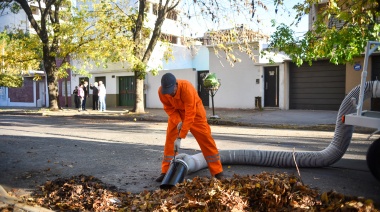 La Municipalidad sumó equipamiento para la recolección de hojas