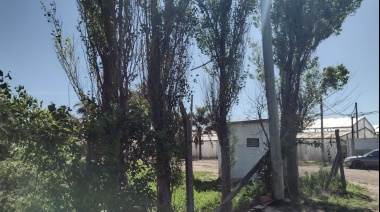 "Acá nadie está privado de su libertad, todos tienen DNI y celular": jornaleros desmienten trabajo esclavo en La Plata