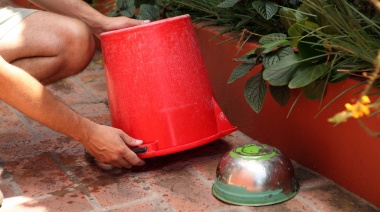 Personal municipal de La Plata salió este sábado a difundir cómo prevenir las enfermedades que transmiten los mosquitos