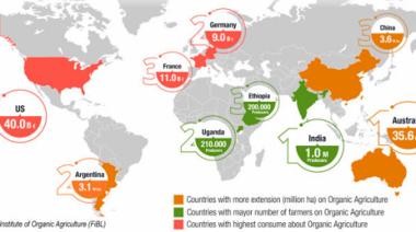 Argentina es el tercer país con mayor superficie sembrada de productos orgánicos, sólo detrás de Australia y de China