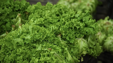 La Municipalidad difundió la lista de precios disponible en el Mercado Bonaerense Fijo La Plata