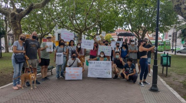 Vecinos de Ensenada pidieron "el cese inmediato de las intervenciones del municipio sobre el arbolado público"