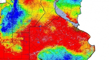 A partir de ahora, las advertencias meteorológicas de La Plata incluirán un formato adaptado para personas con discapacidad visual