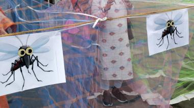 Los casos de Dengue en la provincia de Buenos Aires ascienden a 26 mil, y ya hay 31 personas fallecidas