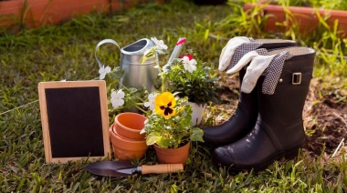 ¿Cómo decorar el hogar y el jardín con un tanque de agua de 2000 litros en desuso?
