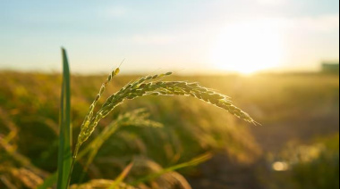 Cómo el transporte define una agroindustria más sustentable
