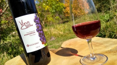 La 21° Fiesta del Vino de la Costa ya tiene fecha: 5, 6 y 7 de julio