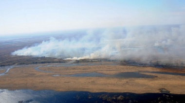 Las lluvias ayudaron a apagar los incendios que afectaban zonas del delta del río Paraná