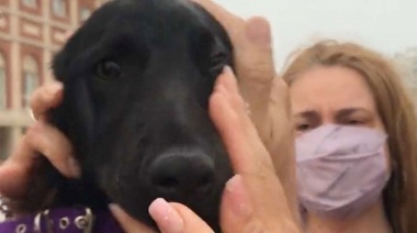 Conmovedora e increíble colecta para rescatar a un perro maltaratado en la rambla de Mar del Plata: el video ya es super viral