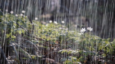 Anuncian probabilidad de lluvias para este martes en La Plata