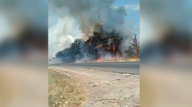 Se prenden fuego varias hectáreas en las inmediaciones del predio de Gimnasia en Estancia Chica