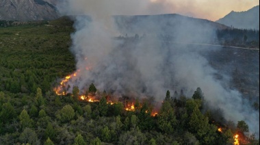 Debido a los incendios forestales el gobierno nacional declaró la emergencia ígnea en todo el país por el plazo de un año