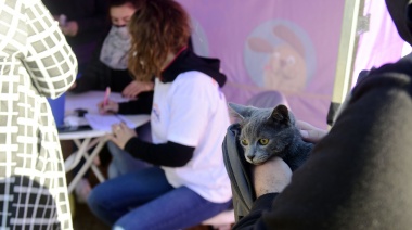 La campaña de vacunación antirrábica gratuita continuará esta semana en Los Hornos, San Carlos y el casco urbano de La Plata