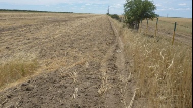 El senador Hirtz pidió que el gobierno declare la "emergencia agropecuaria" por la extrema sequía que atraviesa la provincia