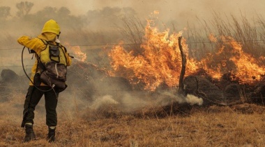 La Municipalidad de La Plata puso en marcha una colecta solidaria para ayudar a los afectados por los incendios en Corrientes