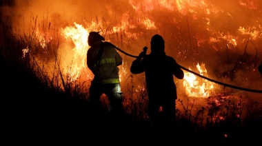 Advierten que "es urgente establecer prácticas de manejo de las plantaciones forestales que minimicen el riesgo de incendios"